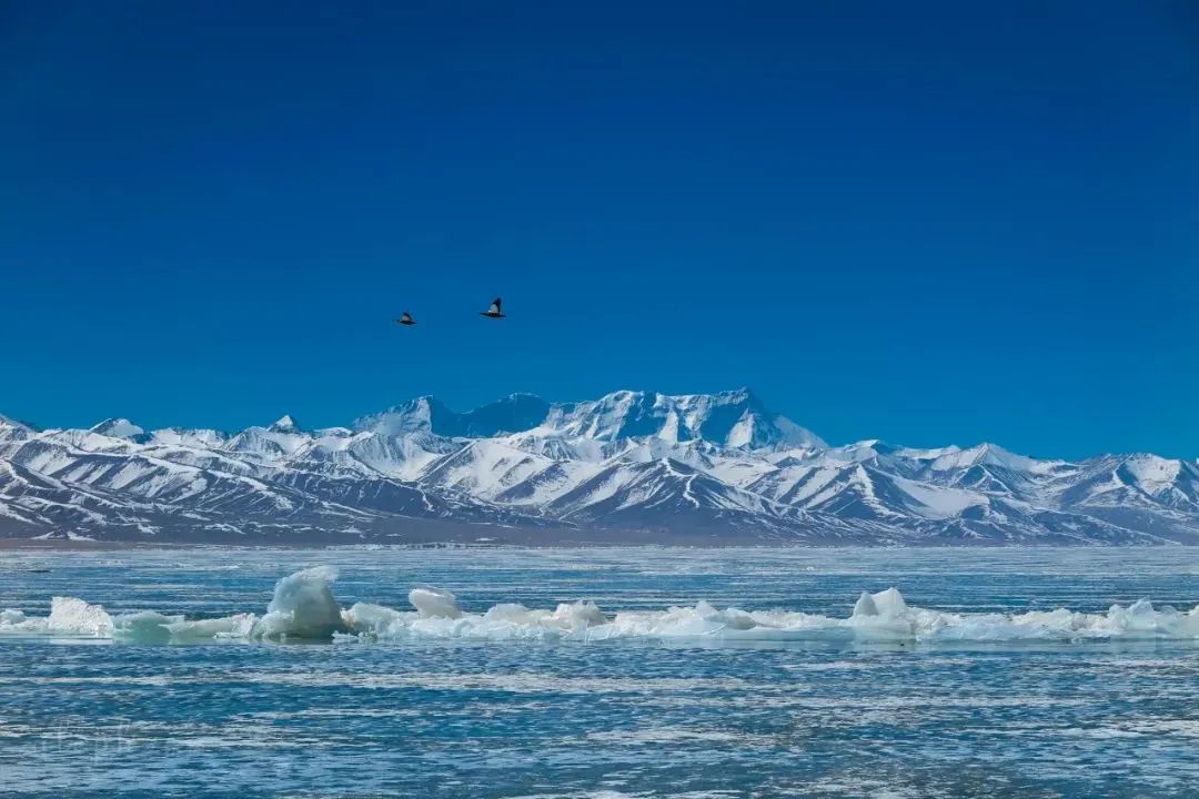 藏区冬天风景图片