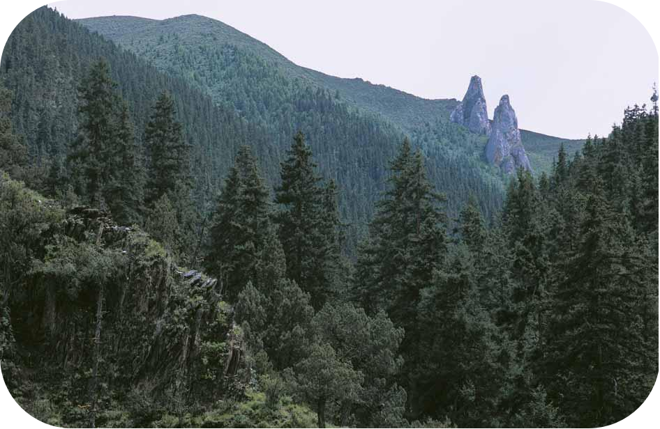 1697425160811931.png 2.png