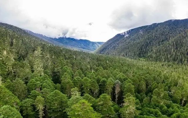 1697425232154133.jpg 4.jpg