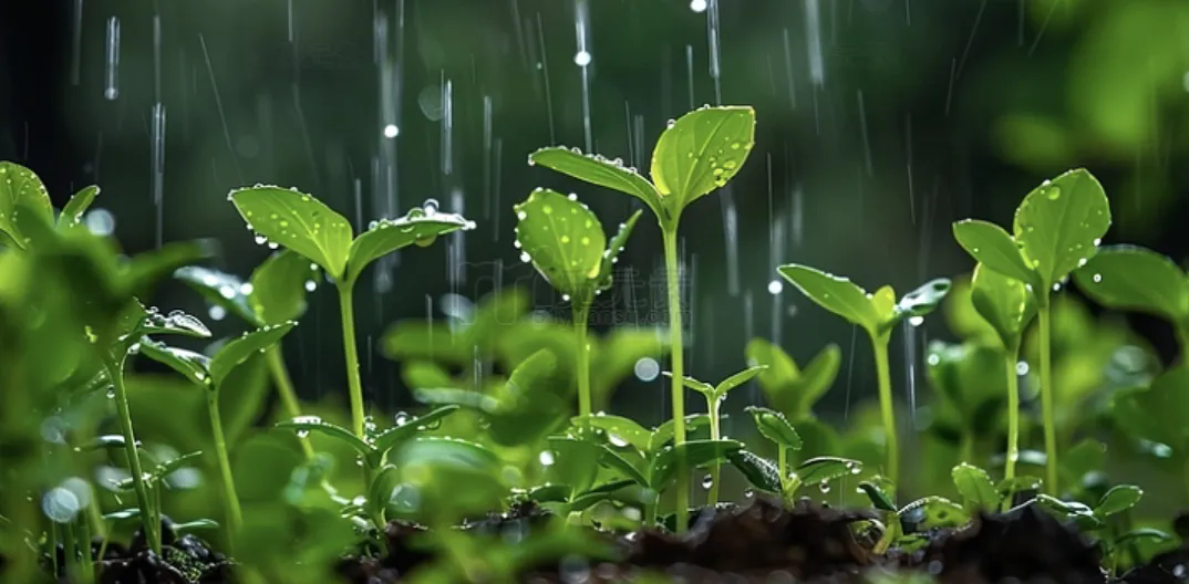 1720162124800607.png 3.webp.png