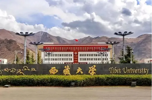 1721356190545061.png 2.webp.png