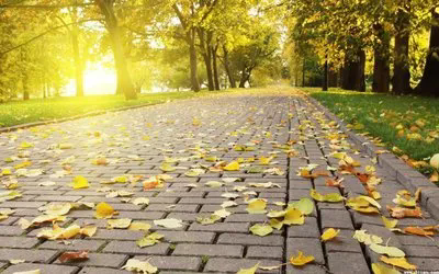 1723170731160769.png 2.webp.png