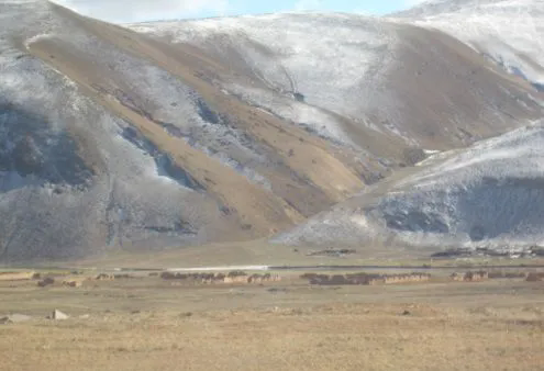 1728354704861073.png 2.webp (1).png