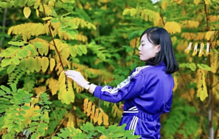 1732243777605255.png 21.webp.png