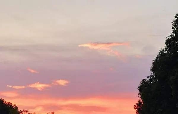 1732243833534539.png 23.webp.png