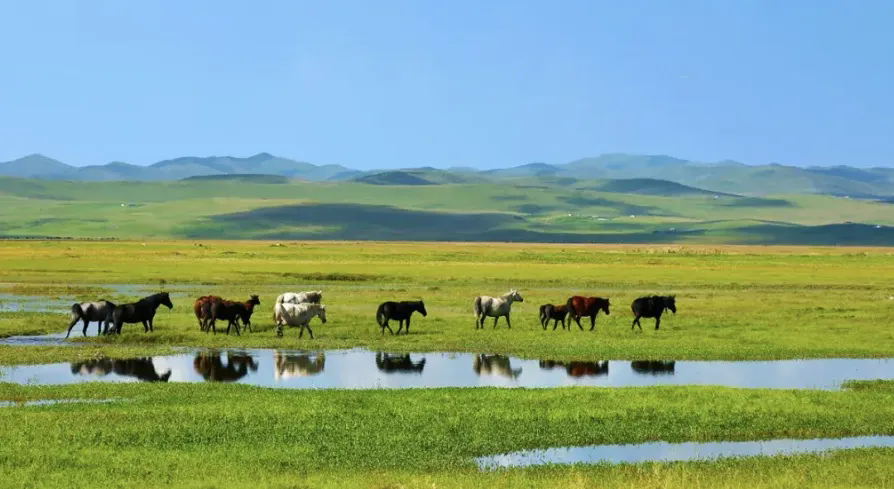 1732243901581926.png 27.webp.png