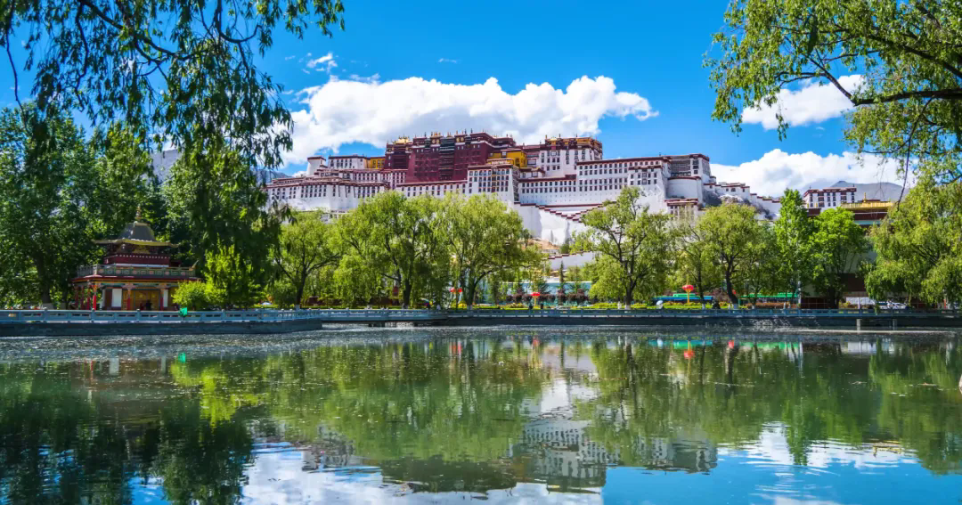 1732243933956129.png 29.webp.png