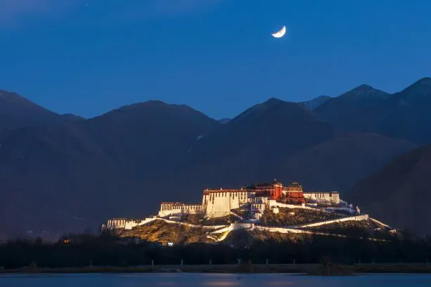 1732243966272041.png 31.webp.png