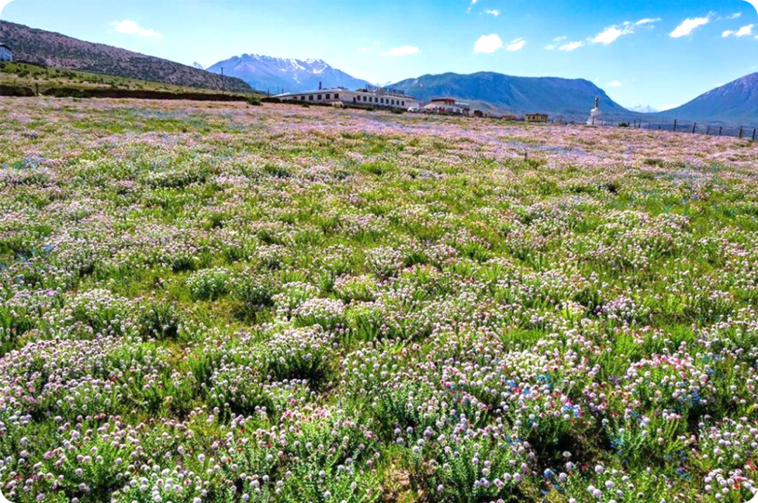 1734577180310766.png 22.png