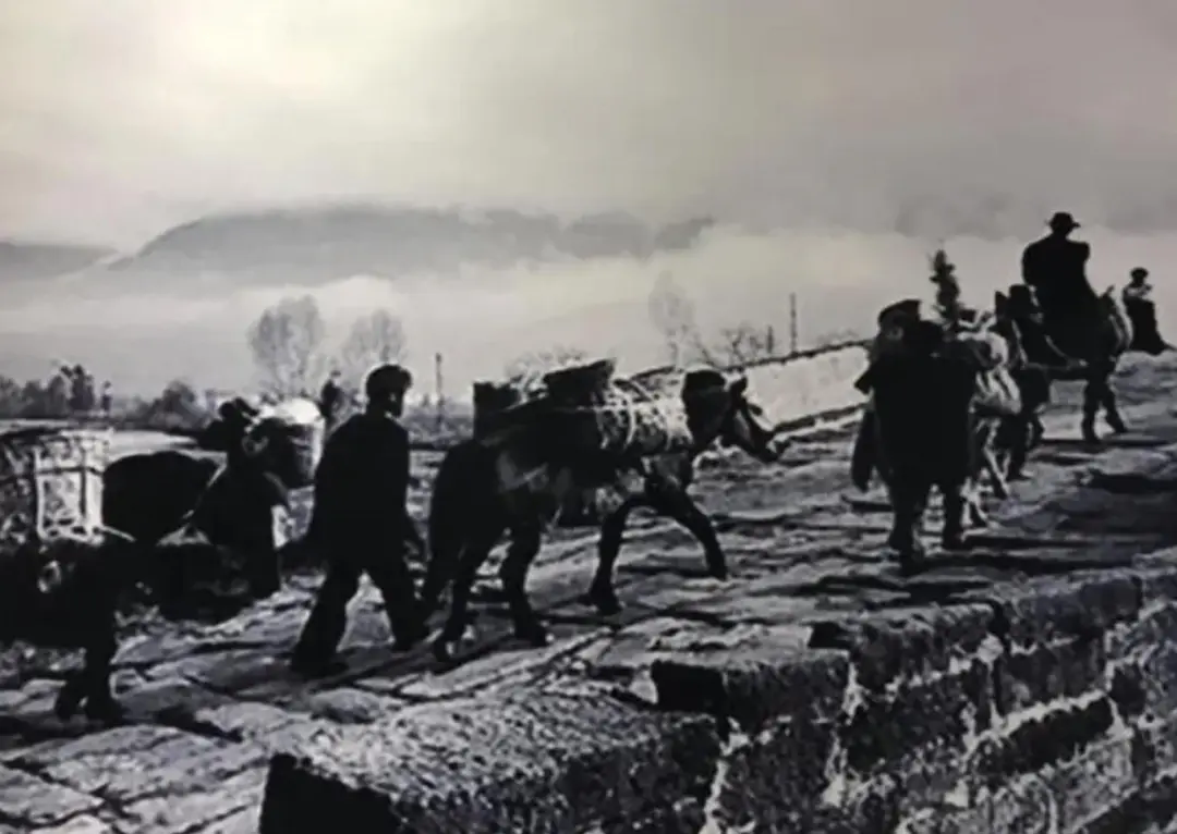 1735098713285803.png 22.webp.png