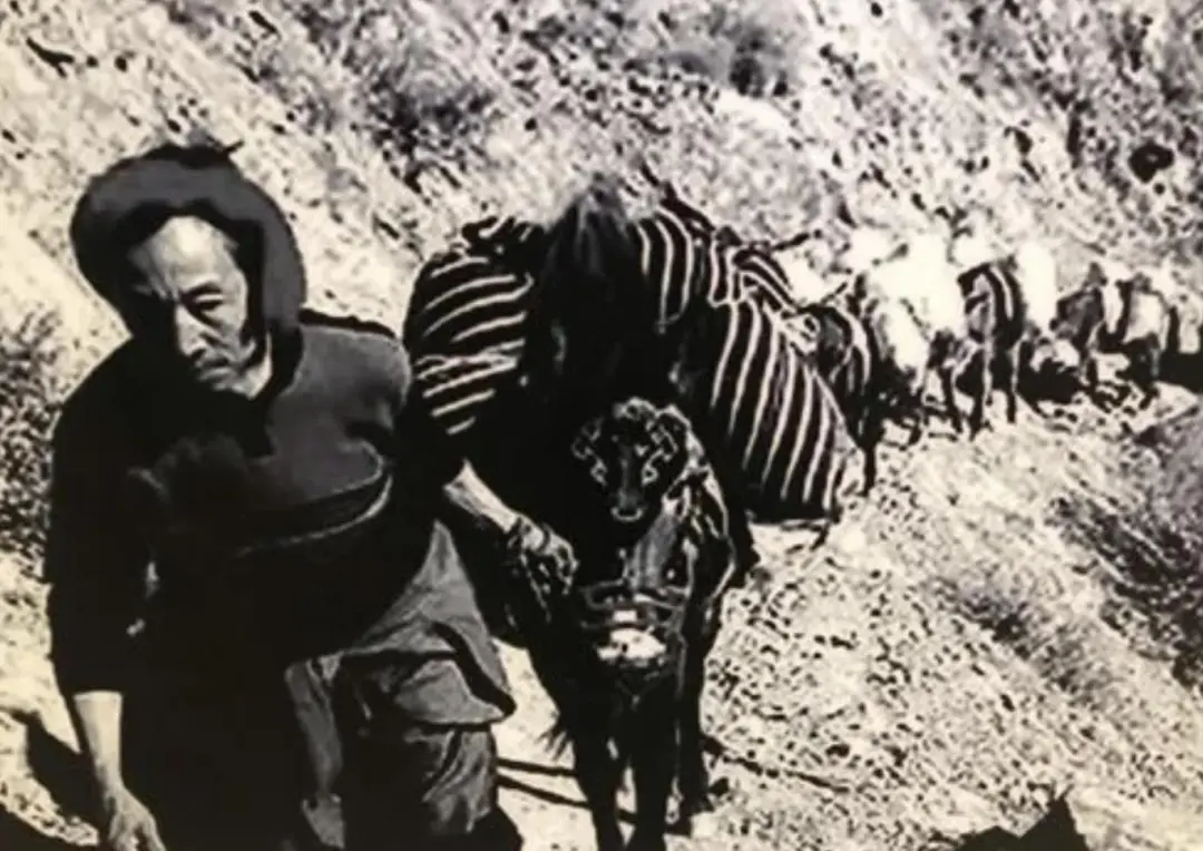 1735098774808957.png 23.webp.png