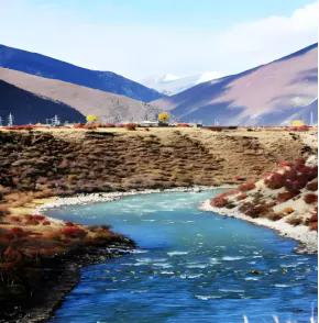 1748315047460960.png 40.webp.png