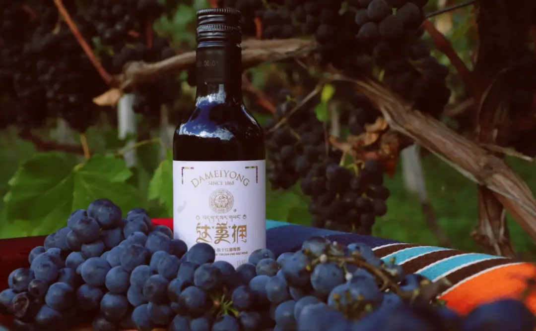 1749606830356728.png 21.webp.png