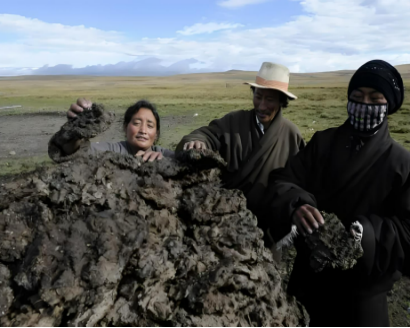 1761967365429759.png 21.png