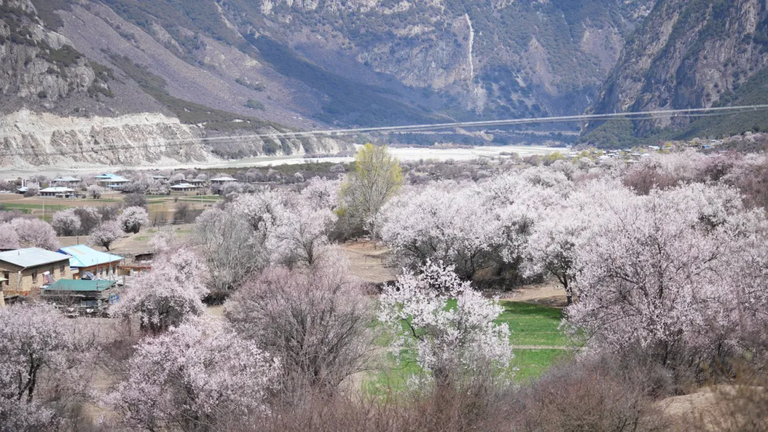 1765417684694131.png 21.webp.png