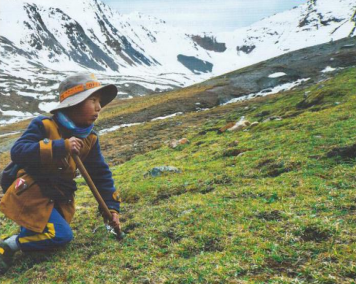 1765852696932059.png 20.png