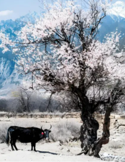 1770088578309982.png 640.webp.png