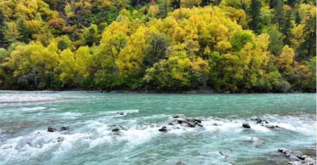 1771902492493768.png 20.webp.png