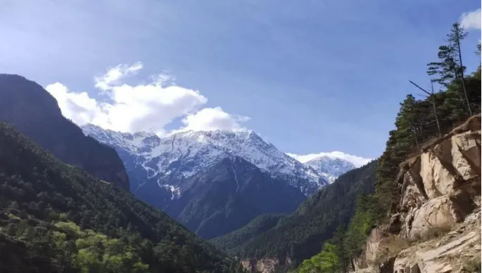 1772418876876323.png 20.webp.png