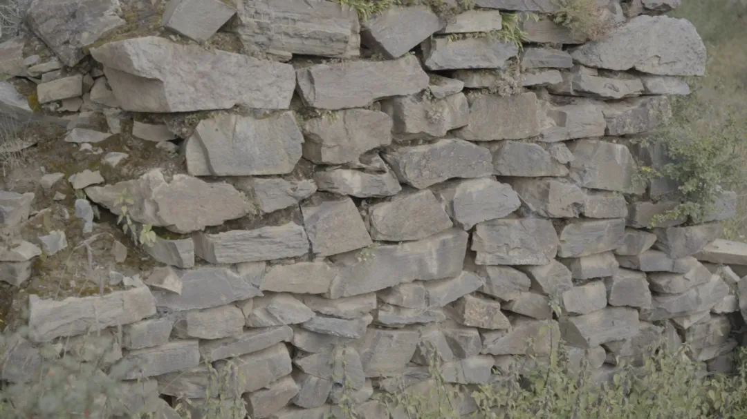 1775617096420779.png 30.webp.png