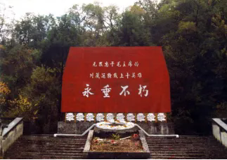 1788748433848374.png 27.webp.png